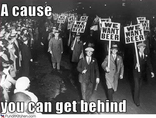 My Kinda Protesters