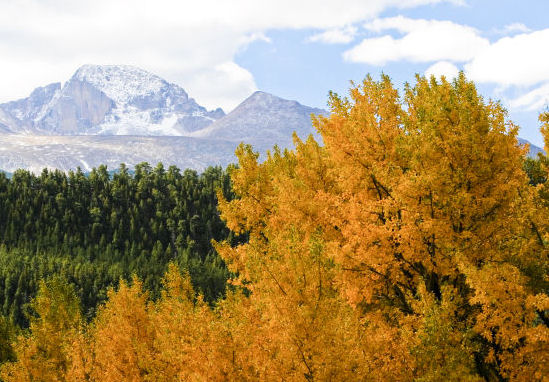 [fall-foliage1.jpg]