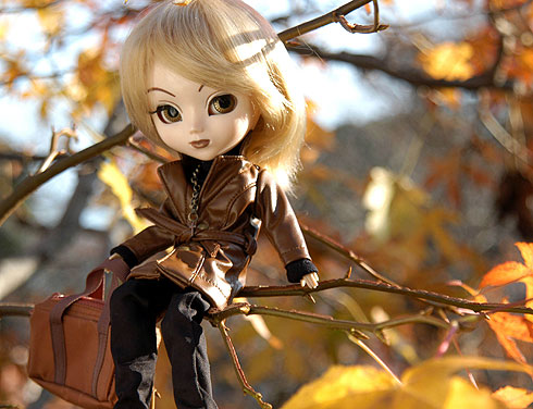 Décembre : pullip withered