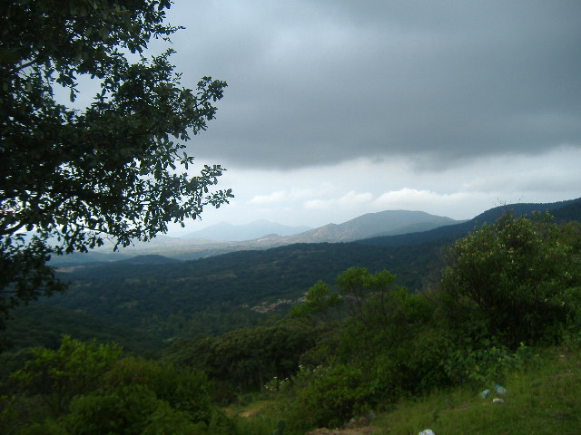 [DSCF3756.JPG]