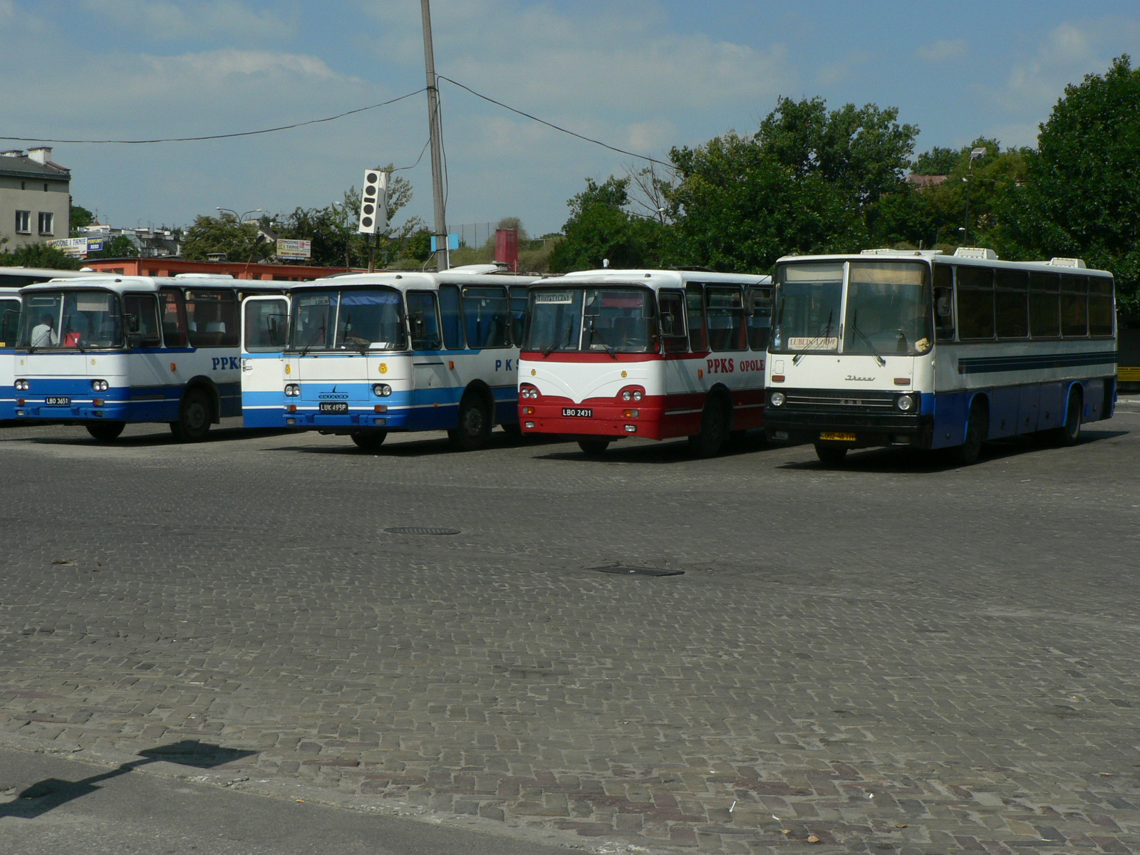 [P1090098.JPG]