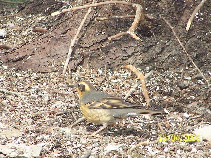 [april+2008+054.jpg]