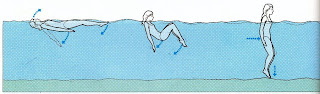 Image of floating In Swimming and Recovering From That Float