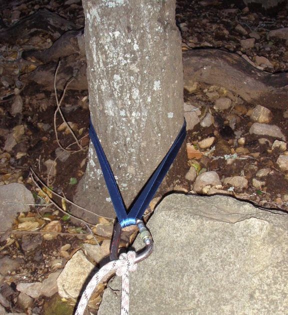 Central Coast Climbing Anchor Installment 1 Trees