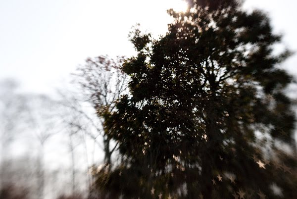 [lensbabytest-3.jpg]