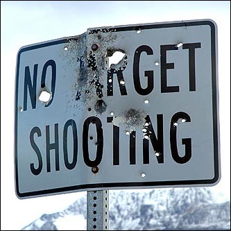 [31105-funny_sign_no_target_practice.jpg]