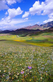 Beauty of Tibet