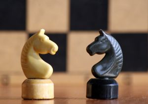 [932337_chessman.jpg]