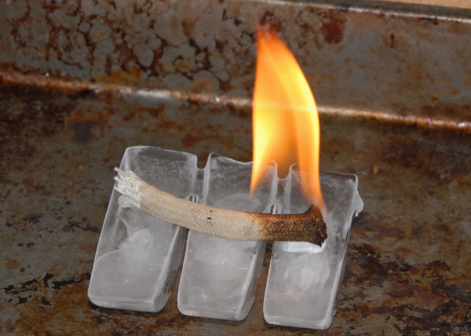 Waiting in the shade sitting on a brick Fire Wick Fire Starters