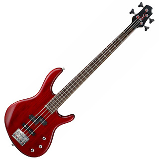 cort%20bass%20guitar%20action.jpg