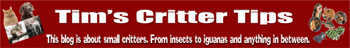 Tim's critter tips
