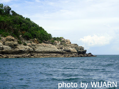เกาะริ้น พัทยา