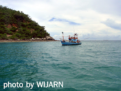 เกาะริ้น พัทยา