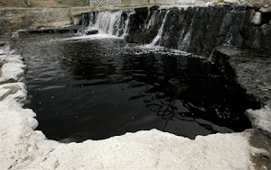 LAsopo nei pressi di Oinophita, a ovest di Atene