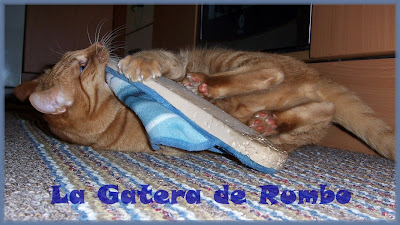 Elmo, terror de las zapatillas