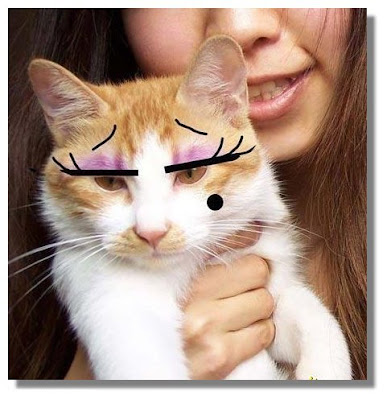 girlie cat