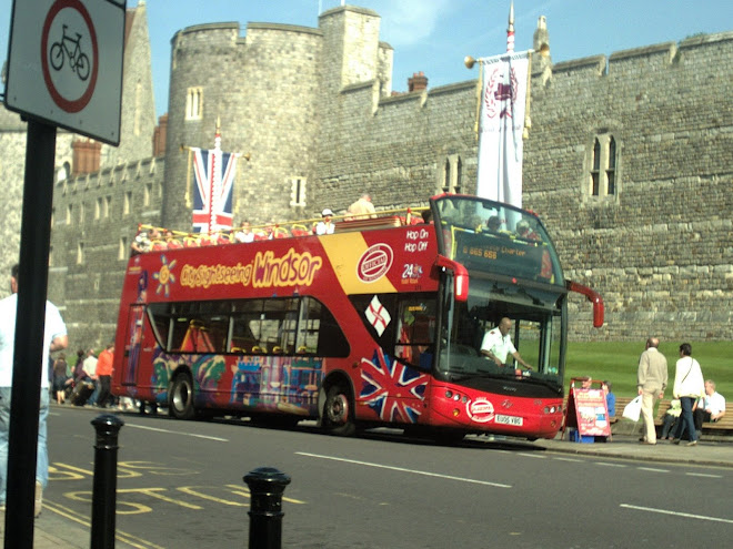 the sightseen bus