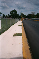 PORK RINDS/HUGE TRAFFIC JAMS OR BAYAMON CITY