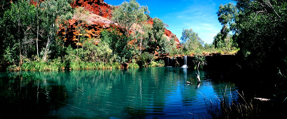 Fern Pool