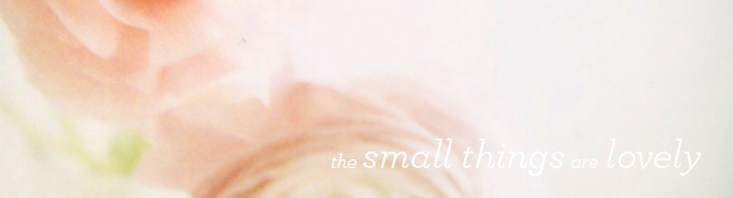 the small things blog