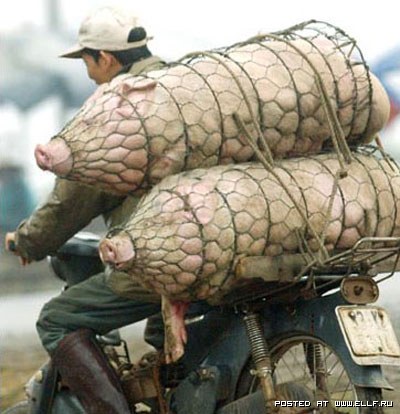 overloaded-vehicle-0013.jpg