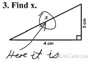 Funny Exam Answers