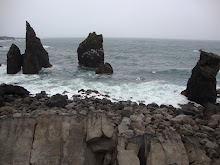 Iceland's Rugged Puffin Hunters