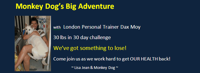 Monkey Dog's Big Adventure - 30 lbs in 30 days