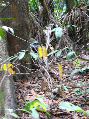 Woodsball Sniper