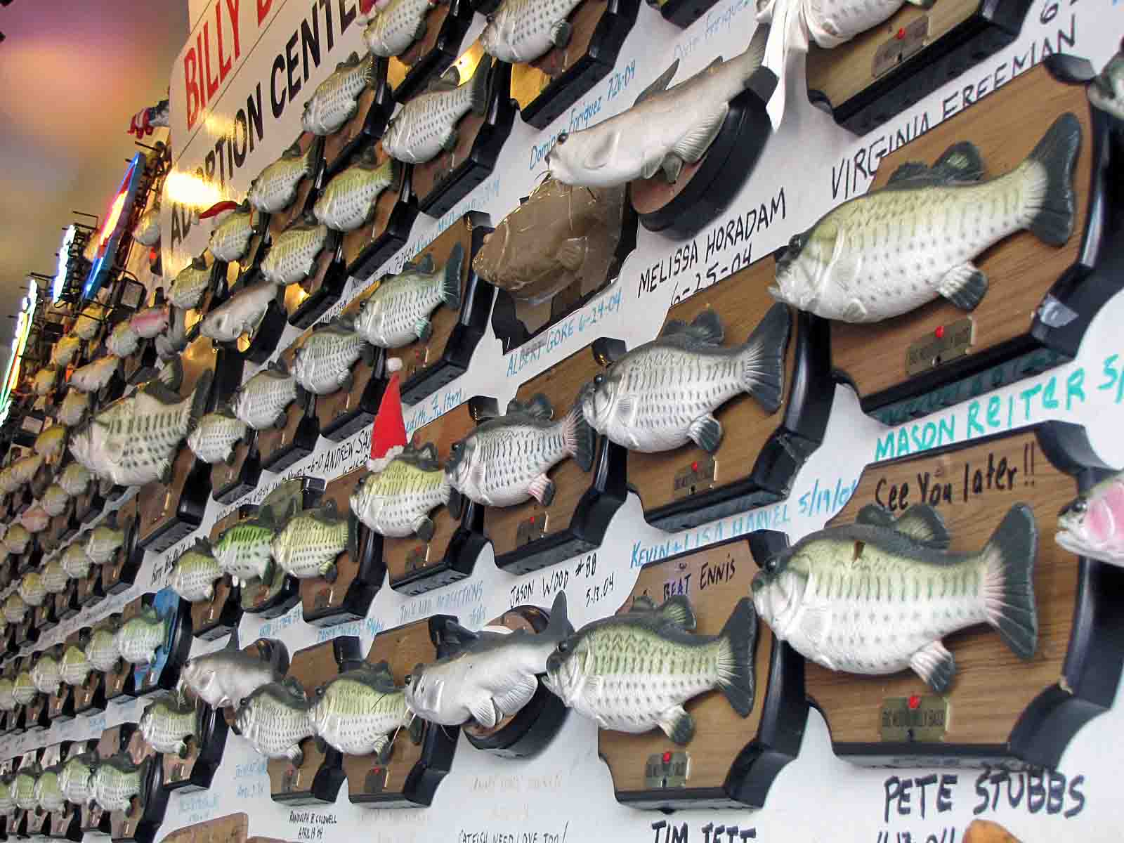 livin tejas Flying Fish in Dallas, TX, Don't Miss Out On The Fresh Catch