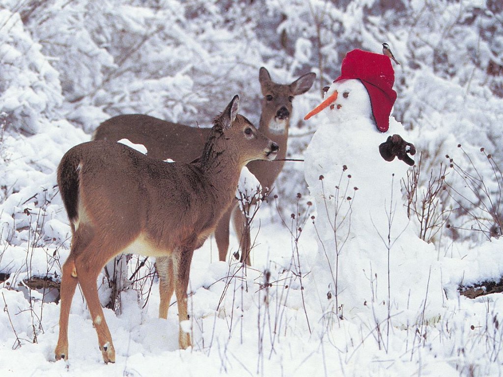 Christmas Wallpaper Desktop Christmas Wallpaper Desktop