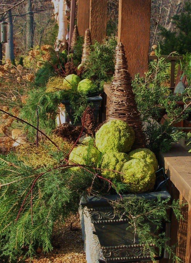 Sweetwater Bend hedge balls and santa claus