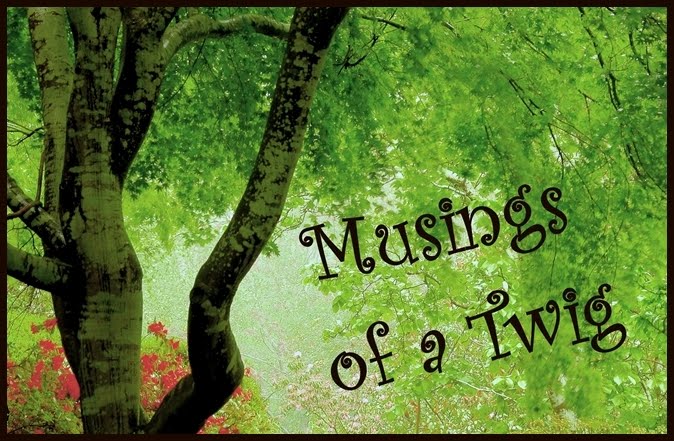 Musings Of A Twig
