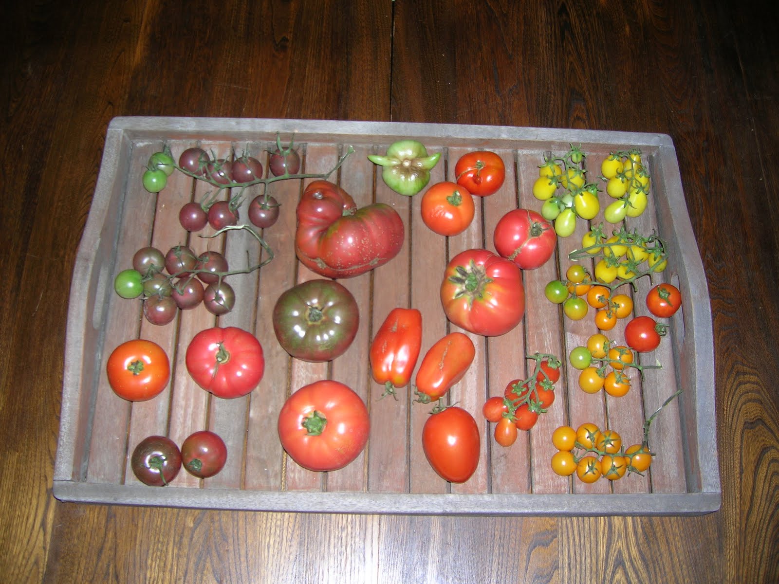 [DSCN2750.JPG]