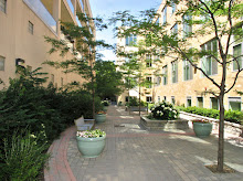Kensington Market Lofts