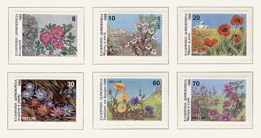 [Agrioloulouda89.jpg]