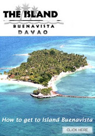 Buenavista Island