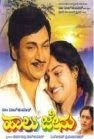 Haalu Jeenu (1982 - movie_langauge) - Rajkumar, Madhavi, Roopa Haalu Jeenu (1982 - movie_langauge) - Rajkumar, Madhavi, Roopa