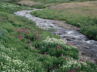 CONSERVATION OF WATERBODIES: Present status of lakes in Thane CONSERVATION OF WATERBODIES: Present status of lakes in Thane