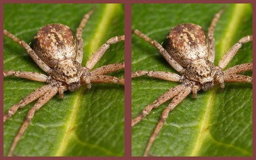 [stereogram+6.jpg]