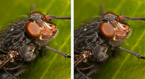 [Stereogram+7.jpg]
