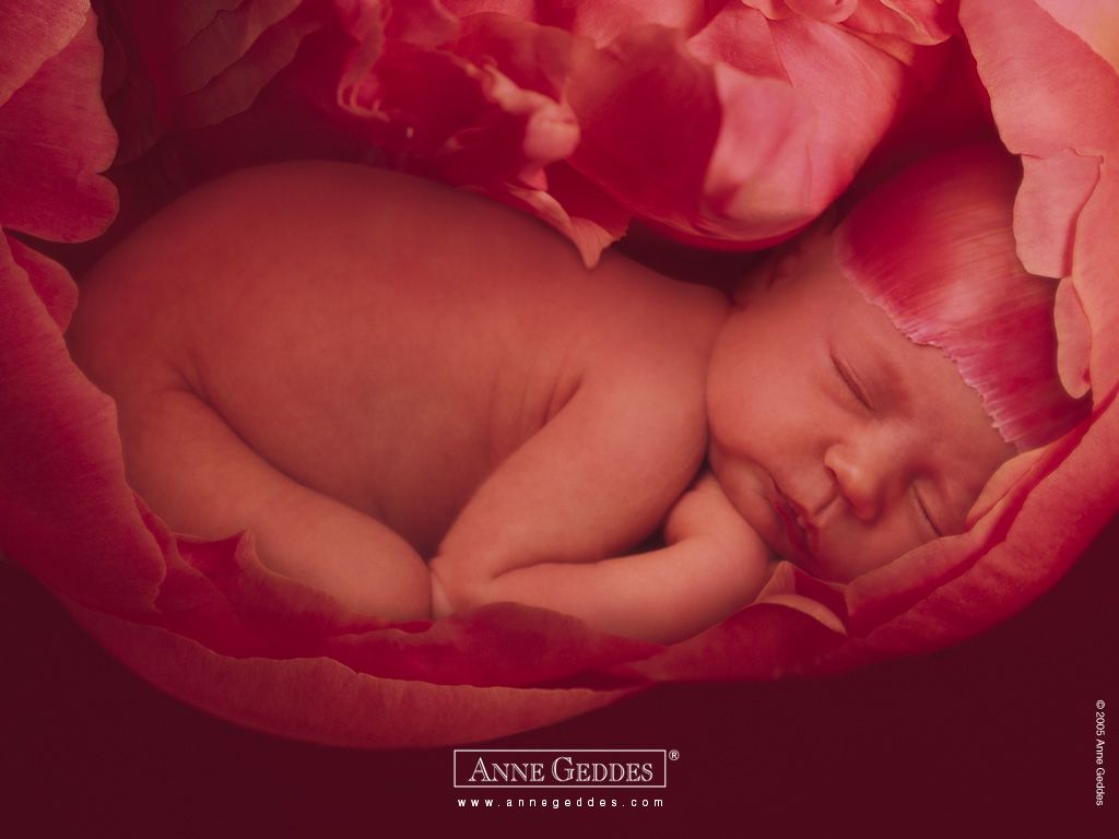 anne_geddes_07.jpg