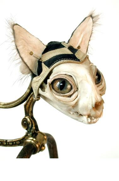 Jessica Joslin Hybrids bone art sculptures