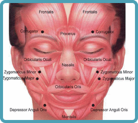 [botox.gif]