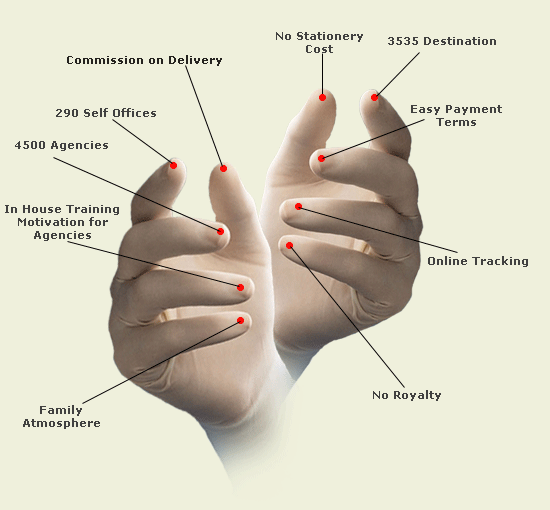 QIPS energy Franchisee Badge