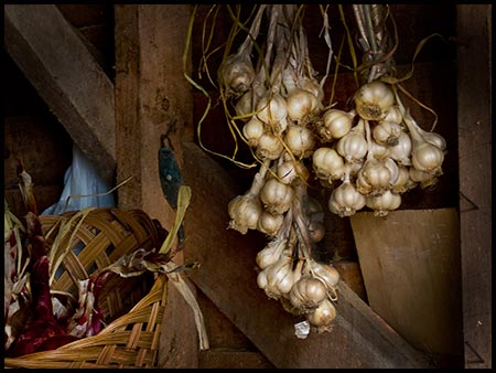 [Garlic-harvest-2010.jpg]