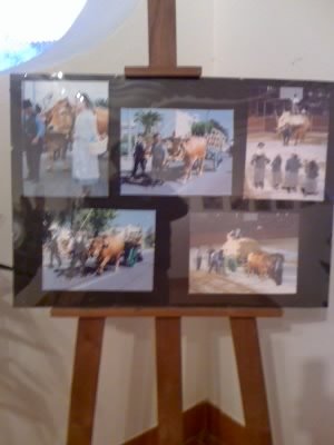 [Pintura1.JPG]