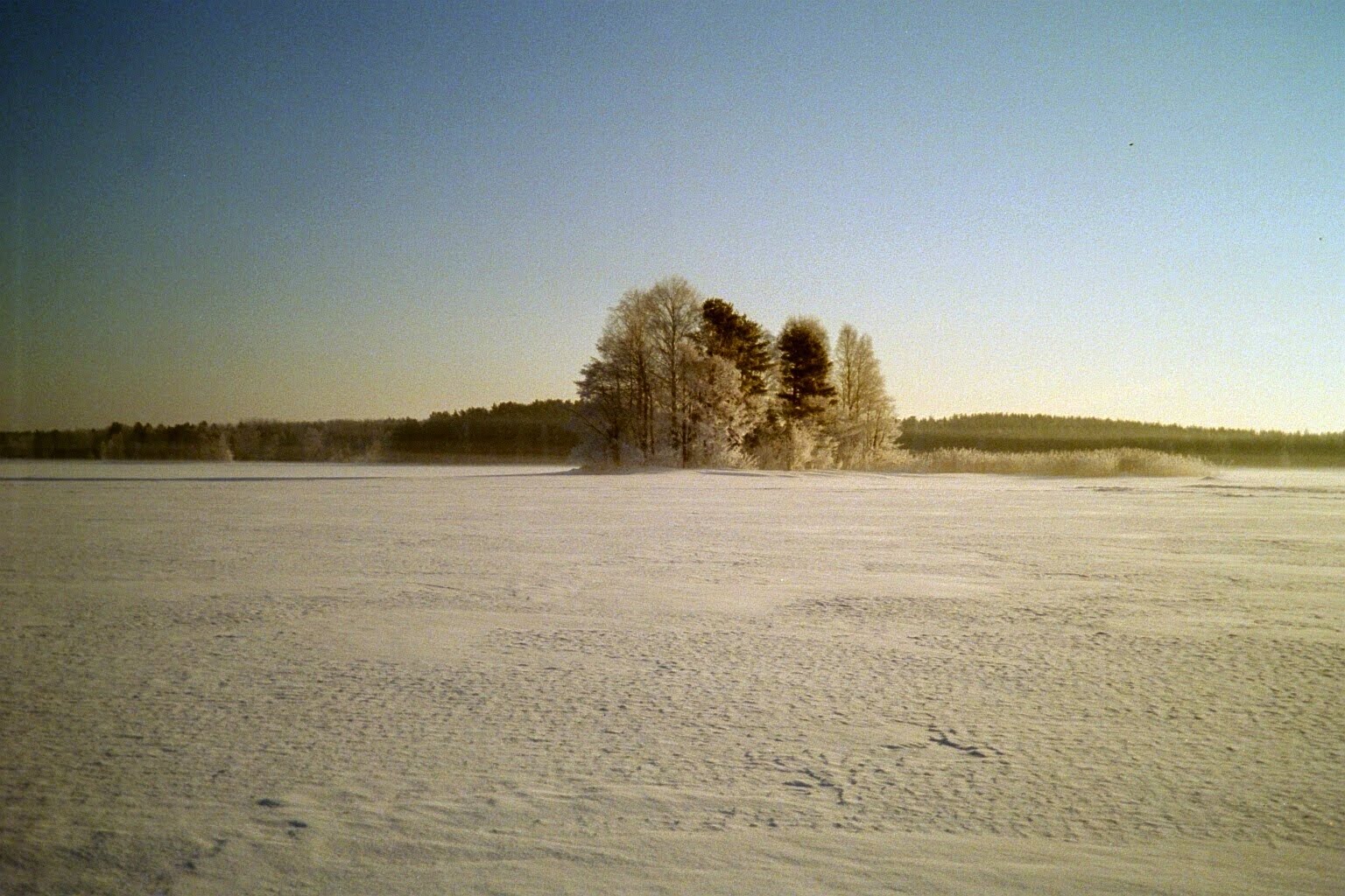 [Morgon+februari-06.JPG]