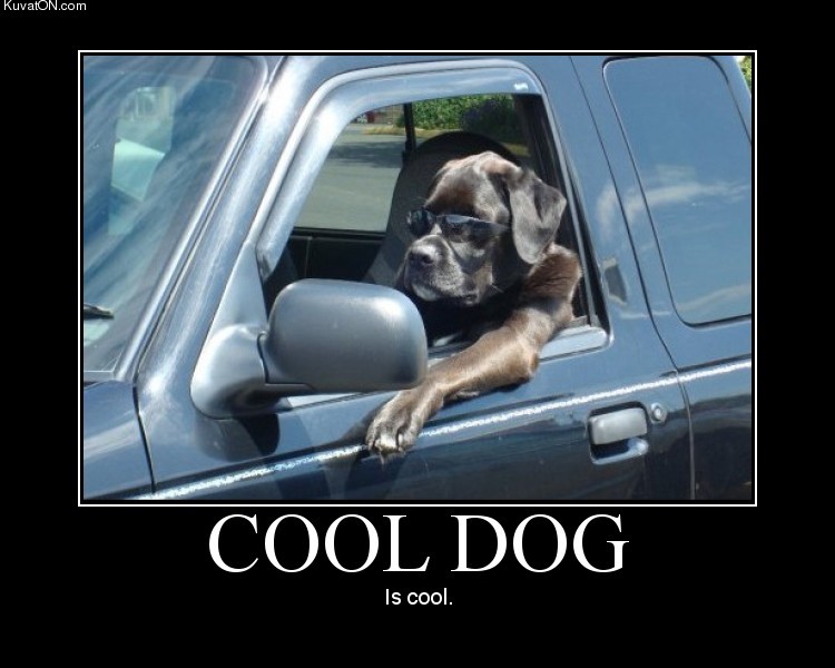 [cooldog2.jpg]