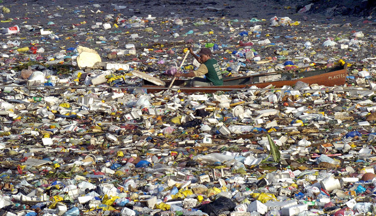 effects of mangrove destruction in mumbai environmental sciences essay Mangrove destruction in mumbai contact us brief summary of research projects conducted at godrej mangroves and pharmacological and antimicrobial studies of stem, roots and leaves of mangrove plants impact of interpretation centre on mangrove conservation mangrove environment in malad/manori creek. effects of mangrove destruction in mumbai environmental sciences essay Mangrove destruction in mumbai contact us brief summary of research projects conducted at godrej mangroves and pharmacological and antimicrobial studies of stem, roots and leaves of mangrove plants impact of interpretation centre on mangrove conservation mangrove environment in malad/manori creek.
